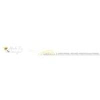 Black Fig Designs coupons
